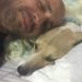 Cachorra Pandora é encontrada e devolvida ao dono após 45 dias