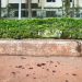 Pai morre esfaqueado pelo próprio filho na 408 Norte, em Brasília Pai morre esfaqueado pelo próprio filho na 408 Norte, em Brasília