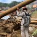 Chuva em Petrópolis: cães dos Bombeiros do ES encontram corpos de crianças em escombros Chuva em Petrópolis: cães dos Bombeiros do ES encontram corpos de crianças em escombros