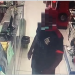 Suspeito de furto usa neto recém-nascido como escudo humano para tentar evitar prisão em Guarapari