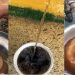 Borrinha denuncia péssima qualidade da água oferecida pela Cesan em Vila Paulista