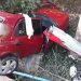 Motorista morre após bater carro em árvore