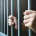 Homem com mandado de prisão é preso enquanto trabalhava em ADN. Homem com mandado de prisão é preso enquanto trabalhava em ADN.