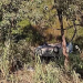 Carro com prefeito sai da pista e capota na BR-101 no Norte do Espírito Santo Carro com prefeito sai da pista e capota na BR-101 no Norte do Espírito Santo