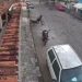 Vídeo mostra homem sendo executado a tiros no Centro de Conceição da Barra Vídeo mostra homem sendo executado a tiros no Centro de Conceição da Barra