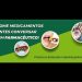 A falta de informações sobre medicamentos e a importância do profissional farmacêutico – A Parresia