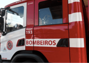 Carro sai da pista, bate em duas árvores e cai em área alagada em Barra de São Francisco