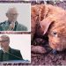 Vereadores denunciam abandono de animais domésticos pelo município