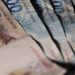 Decreto regulamenta crédito consignado no Auxílio Brasil Decreto regulamenta crédito consignado no Auxílio Brasil