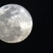 Superlua pode ser novamente vista nesta quinta-feira Superlua pode ser novamente vista nesta quinta-feira