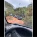 Cinco suspeitos de roubo a bancos em Santa Leopoldina morrem em confronto com a polícia – A Parresia