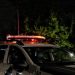 Corpo em estado de decomposição é encontrado às margens de rodovia em Colatina