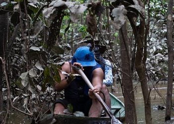 Cinco meses após mortes de Bruno e Dom, Vale do Javari está a um passo de novos assassinatos
