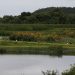 Novo parque em Niterói busca melhorar água e vegetação de lagoa Novo parque em Niterói busca melhorar água e vegetação de lagoa