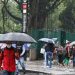 Defesa Civil de SP alerta para chuvas intensas a partir de hoje