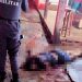 Homem é morto ao tentar esfaquear policial em Vila Pavão