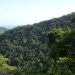 Lei Geral do Licenciamento Ambiental quer padronizar modalidades e prazos em todo o país