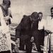 Hospital São Marcos chegou em 1963