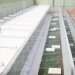 Polícia de MT procura suspeitos de planejar fuga de penitenciária Polícia de MT procura suspeitos de planejar fuga de penitenciária