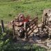 Acidente com caminhão mata motorista em Ecoporanga