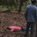 Dois tiros e pancada na cabeça: morte de seringueiro é mistério em Boa Esperança Dois tiros e pancada na cabeça: morte de seringueiro é mistério em Boa Esperança