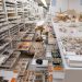 Museu Nacional integra estudo sobre 73 coleções de história natural Museu Nacional integra estudo sobre 73 coleções de história natural