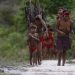 Três antenas de internet via satélite são instalada em área Yanomami Três antenas de internet via satélite são instalada em área Yanomami