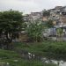 Conexão Saúde reduziu mortalidade por covid-19 em favelas da Maré Conexão Saúde reduziu mortalidade por covid-19 em favelas da Maré