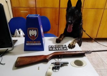 COM O AUXILÍO DA CADELA, POLÍCIA ENCONTRA DUAS ARMAS DE FOGO ESCONDIDAS EM MATAGAL EM ECOPORANGA