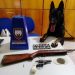COM O AUXILÍO DA CADELA, POLÍCIA ENCONTRA DUAS ARMAS DE FOGO ESCONDIDAS EM MATAGAL EM ECOPORANGA