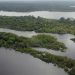 Narcotráfico potencializa destruição ambiental e violação de direitos