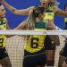 Vôlei: Brasil bate Coreia do Sul em Brasília pela Liga das Nações