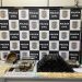 Denarc prende dupla e apreende 32 quilos de maconha