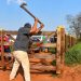 Grupo invade fazenda produtiva no interior de SP