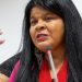 Ministra diz que ainda há garimpeiros ilegais em TI Yanomami Ministra diz que ainda há garimpeiros ilegais em TI Yanomami