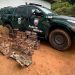 Polícia Ambiental apreende arma de fogo em Castelo