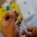 Estado recebe doses de vacina influenza e municípios podem dar início à nova estratégia de imunização de rotina