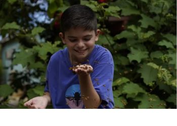 Menino autista do ES encontra no cultivo de abelhas um caminho para a socialização