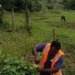 Defesa Civil monitora chuvas em Barra de São Francisco e mantém equipes em alerta Defesa Civil monitora chuvas em Barra de São Francisco e mantém equipes em alerta