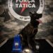 Polícia Militar apreende drogas e arma de fogo em ações distintas em Barra de São Francisco