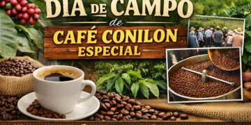 Barra de São Francisco sediará Dia de Campo de Café Conilon Especial em abril Barra de São Francisco sediará Dia de Campo de Café Conilon Especial em abril